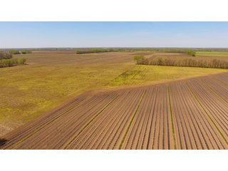 Property photo 24 - LAND AUCTION - 492+/- ACRES OFFERED IN 7 TRACTS IN SULLIVAN & KNOX COUNTIES, INDIANA